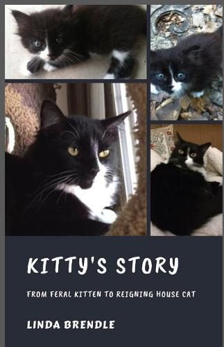 Cover image for Kitty's Story: From Feral Kitten to Reigning Housecat