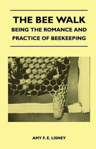 Cover image for The Bee Walk - Being The Romance And Practice Of Beekeeping