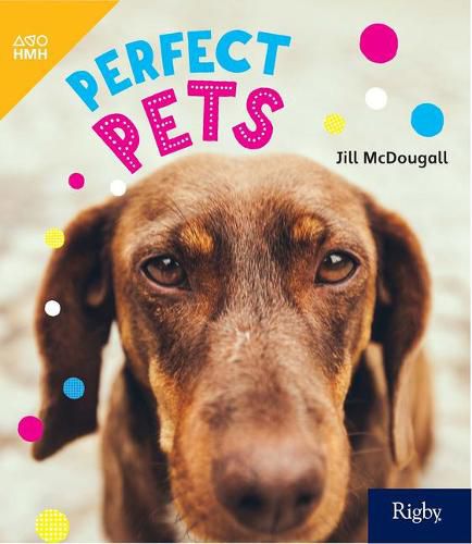 Cover image for Perfect Pets: Leveled Reader Grade 2