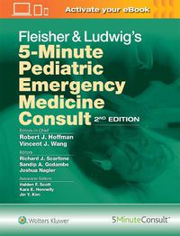 Cover image for Fleisher & Ludwig's 5-Minute Pediatric Emergency Medicine Consult