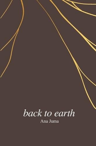 Cover image for Back to Earth