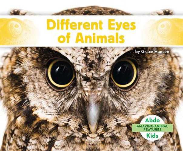 Cover image for Different Eyes of Animals