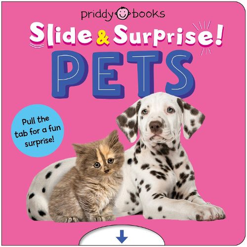 Cover image for Pets (Slide & Surprise!)
