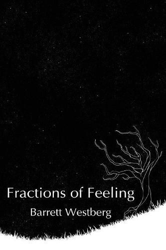 Cover image for Fractions of Feeling