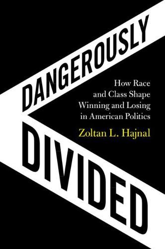 Cover image for Dangerously Divided: How Race and Class Shape Winning and Losing in American Politics