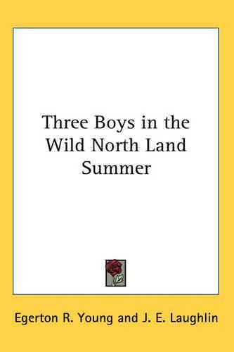 Three Boys in the Wild North Land Summer