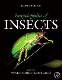 Cover image for Encyclopedia of Insects