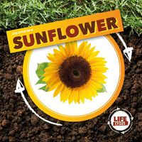 Cover image for Life Cycle of a Sunflower