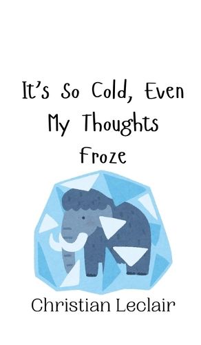 It's So Cold, Even My Thoughts Froze