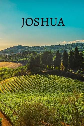 Cover image for Joshua Bible Journal