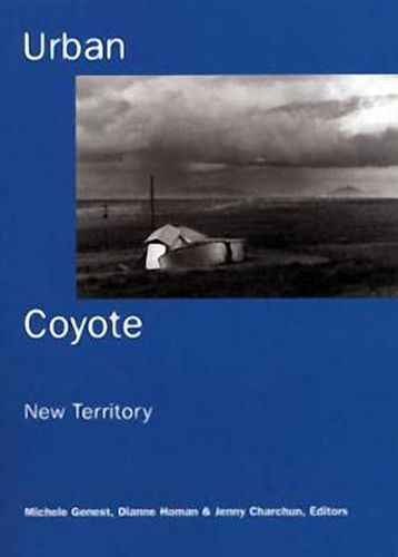 Cover image for Urban Coyote New Territory