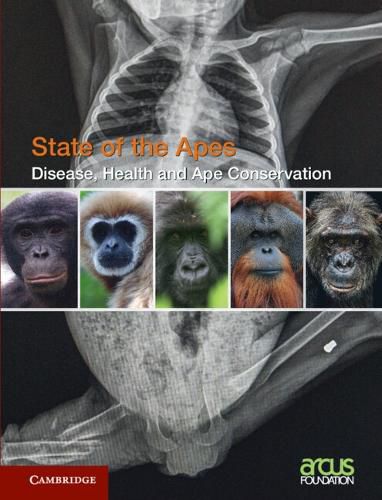 Cover image for Disease, Health and Ape Conservation: Volume 5