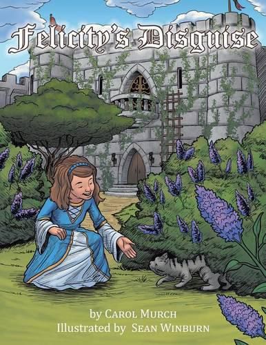 Cover image for Felicity's Disguise