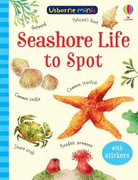 Cover image for Seashore Life to Spot