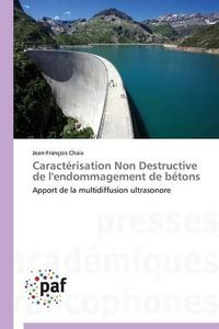 Cover image for Caracterisation Non Destructive de l'Endommagement de Betons