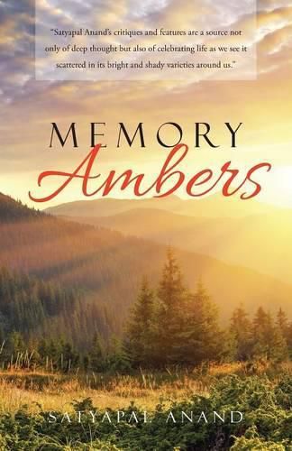 Cover image for Memory Ambers