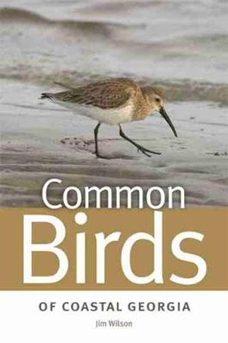 Cover image for Common Birds of Coastal Georgia