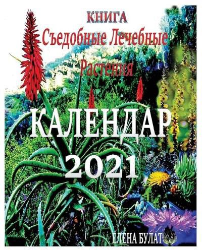 Cover image for Книга. Календар 2021