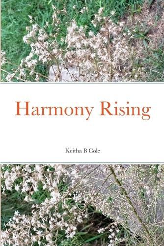 Cover image for Harmony Rising