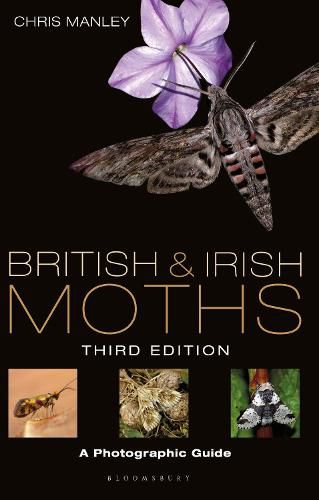 Cover image for British and Irish Moths: Third Edition: A Photographic Guide