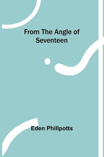 Cover image for From the Angle of Seventeen