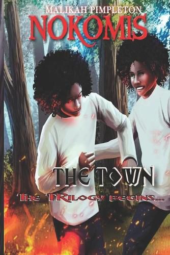 Cover image for Nokomis (The Town): First Installment in Nokomis The Series