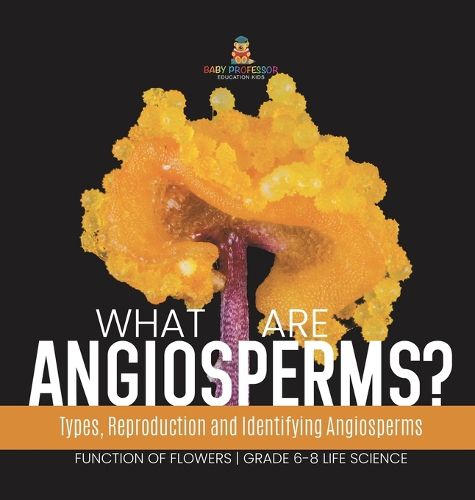 What are Angiosperms? Types, Reproduction and Identifying Angiosperms Function of Flowers Grade 6-8 Life Science