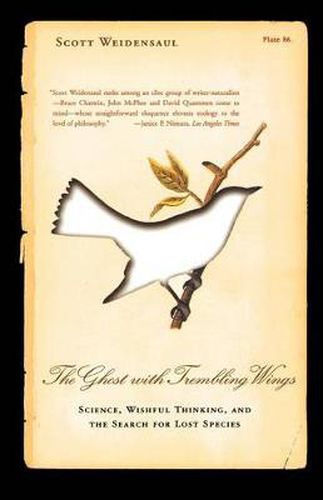 Cover image for The Ghost with Trembling Wings: Science, Wishful Thinking and the Search for Lost Species