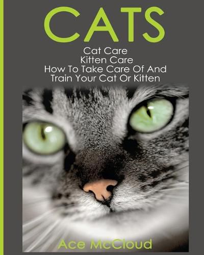 Cover image for Cats: Cat Care: Kitten Care: How To Take Care Of And Train Your Cat Or Kitten