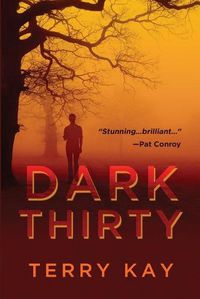 Cover image for Dark Thirty