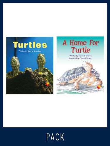 Cover image for Flying Start Guided Reading Pack Level 6, Pack 1: Paired student books (6x6) and lesson plan (1)