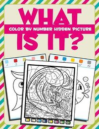 Cover image for What Is It?: Color By Number Hidden Picture