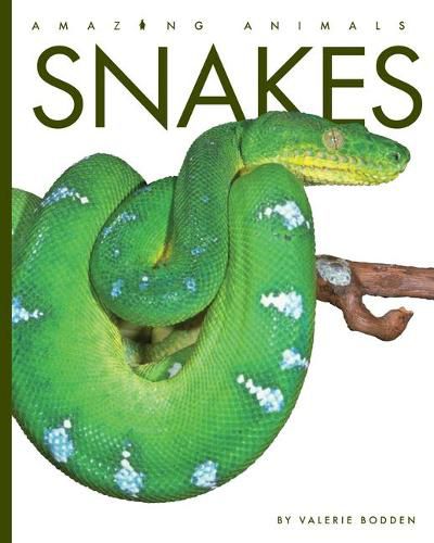 Cover image for Snakes