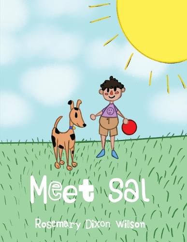 Cover image for Meet Sal