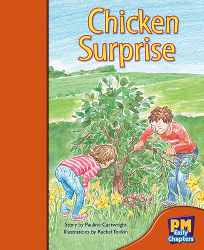 Cover image for Chicken Surprise