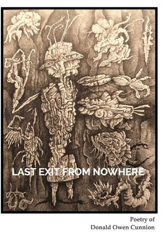 Cover image for Last Exit From Nowhere