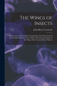 Cover image for The Wings of Insects