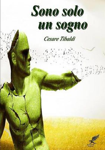 Cover image for Sono solo un sogno