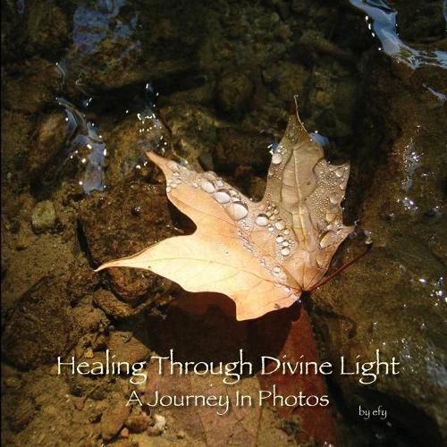 Cover image for Healing Through Divine Light: A Journey In Photos