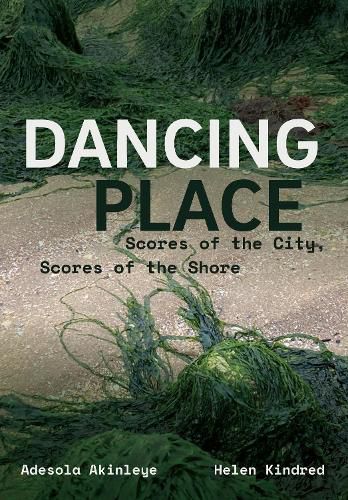 Cover image for Dancing Place