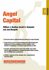 Cover image for Angel Capital