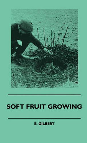 Cover image for Soft Fruit Growing