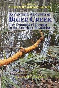 Cover image for Savannah, Augusta & Brier Creek: The conquest of Georgia in the American Revolution