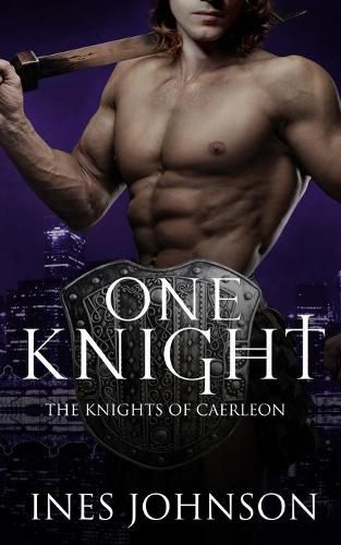 Cover image for One Knight