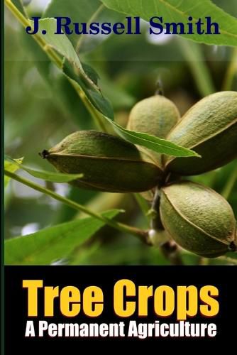 Cover image for Tree Crops, A Permanent Agriculture