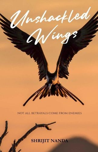 Cover image for Unshackled Wings
