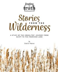 Cover image for Stories from the Wilderness