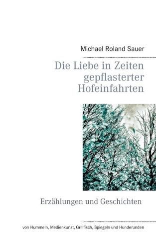 Cover image for Die Liebe in Zeiten gepflasterter Hofeinfahrten: Erzahlungen und Geschichten