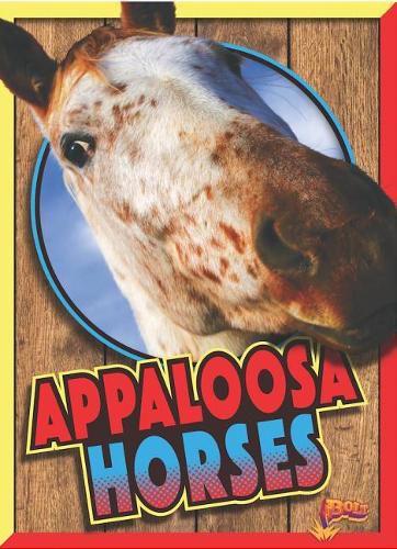 Cover image for Appaloosa Horses