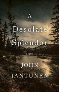 Cover image for A Desolate Splendor: A Novel